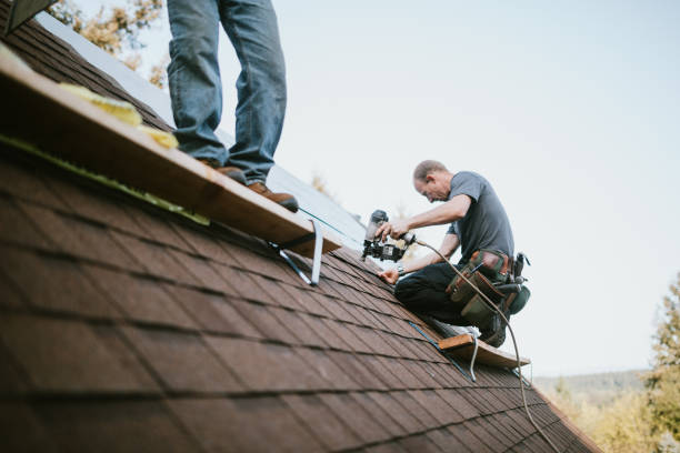 Best Roof Gutter Cleaning  in Ponchatou, LA